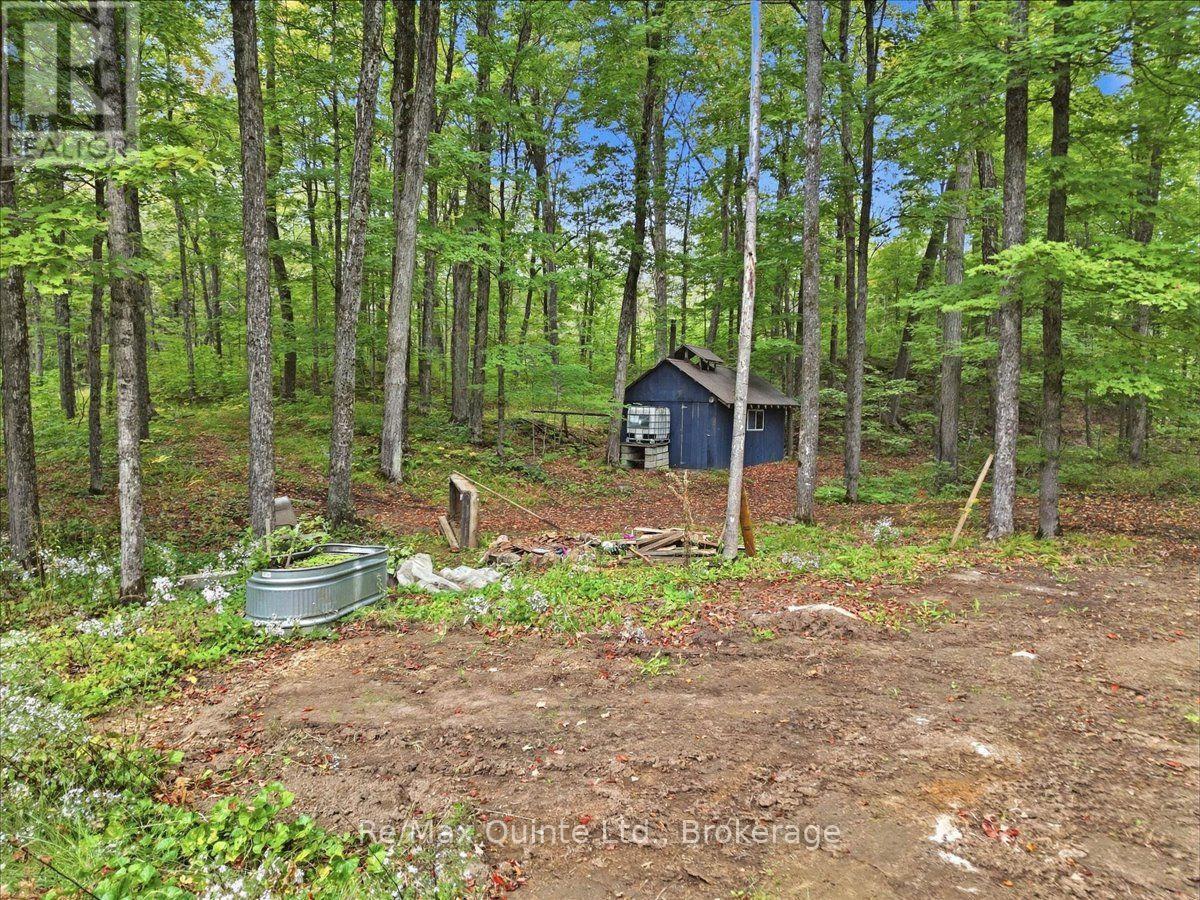 578 Old Apsley Road Property Photo 39