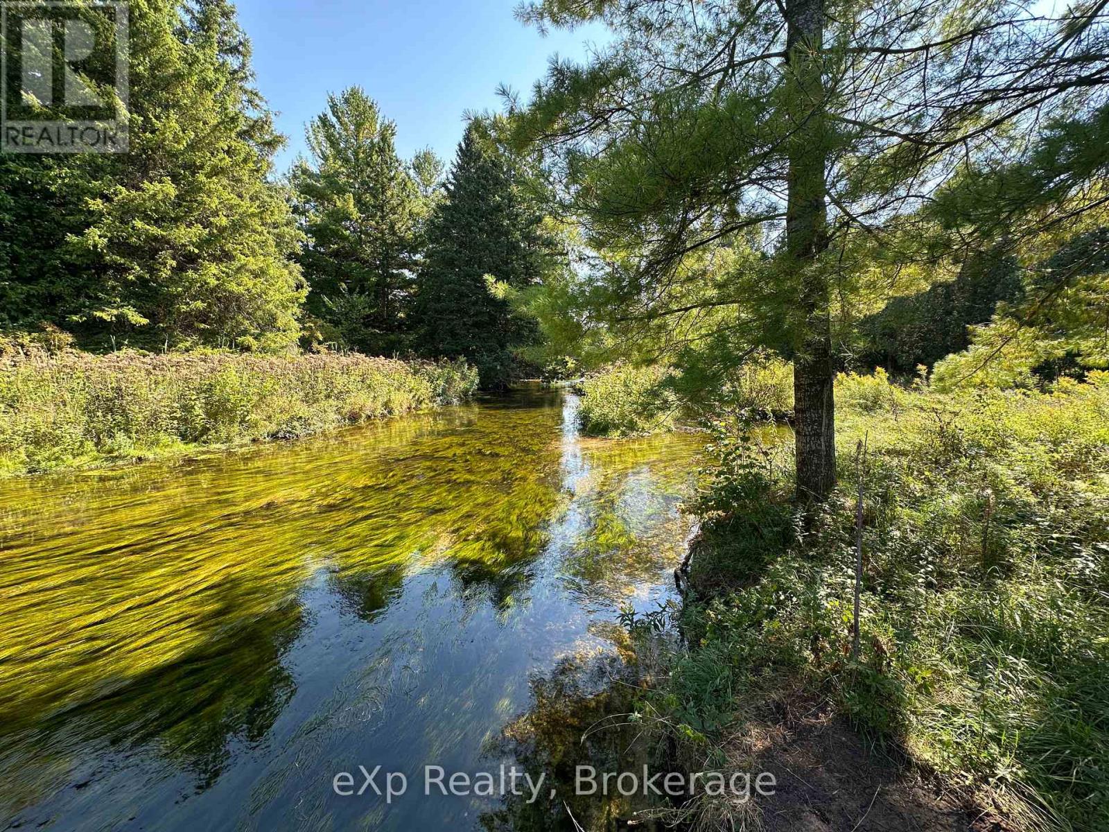 133272 Allan Park Road Property Photo 5