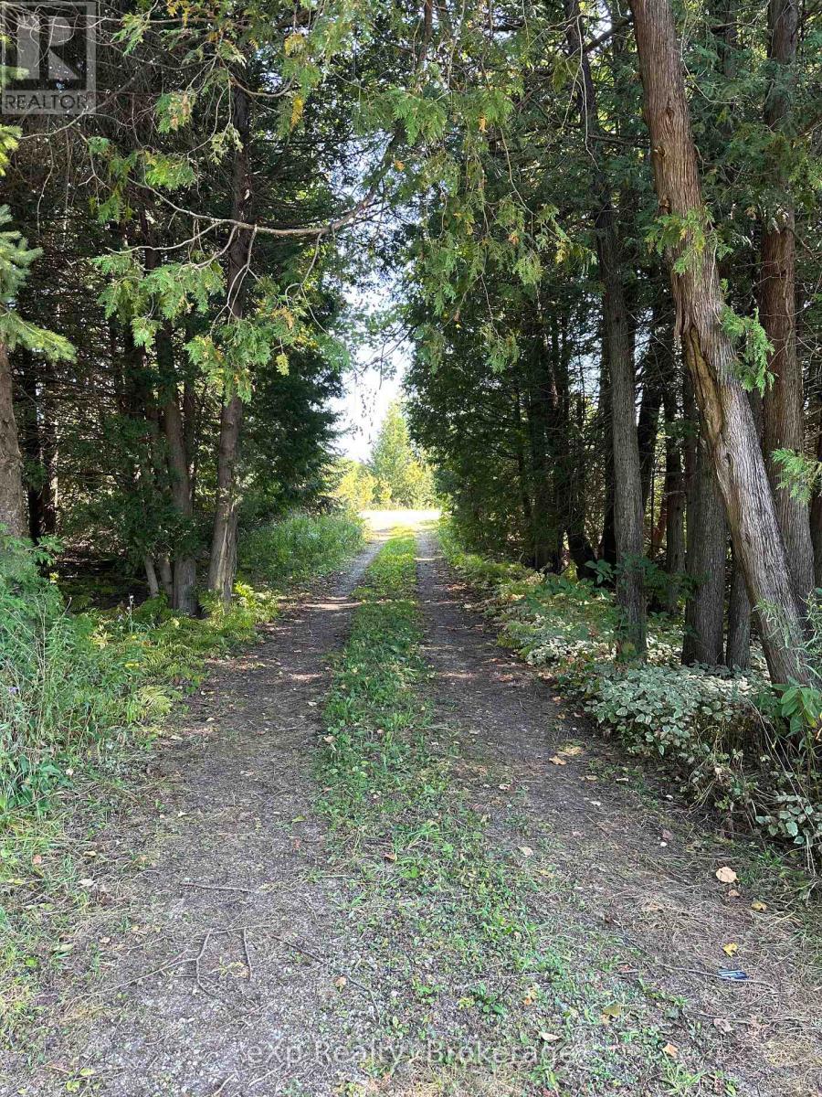 133272 Allan Park Road Property Photo 7