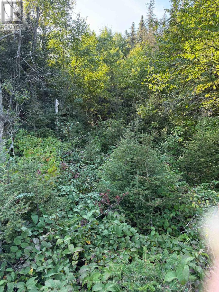 0 Off Hwy 17 S Property Photo 3