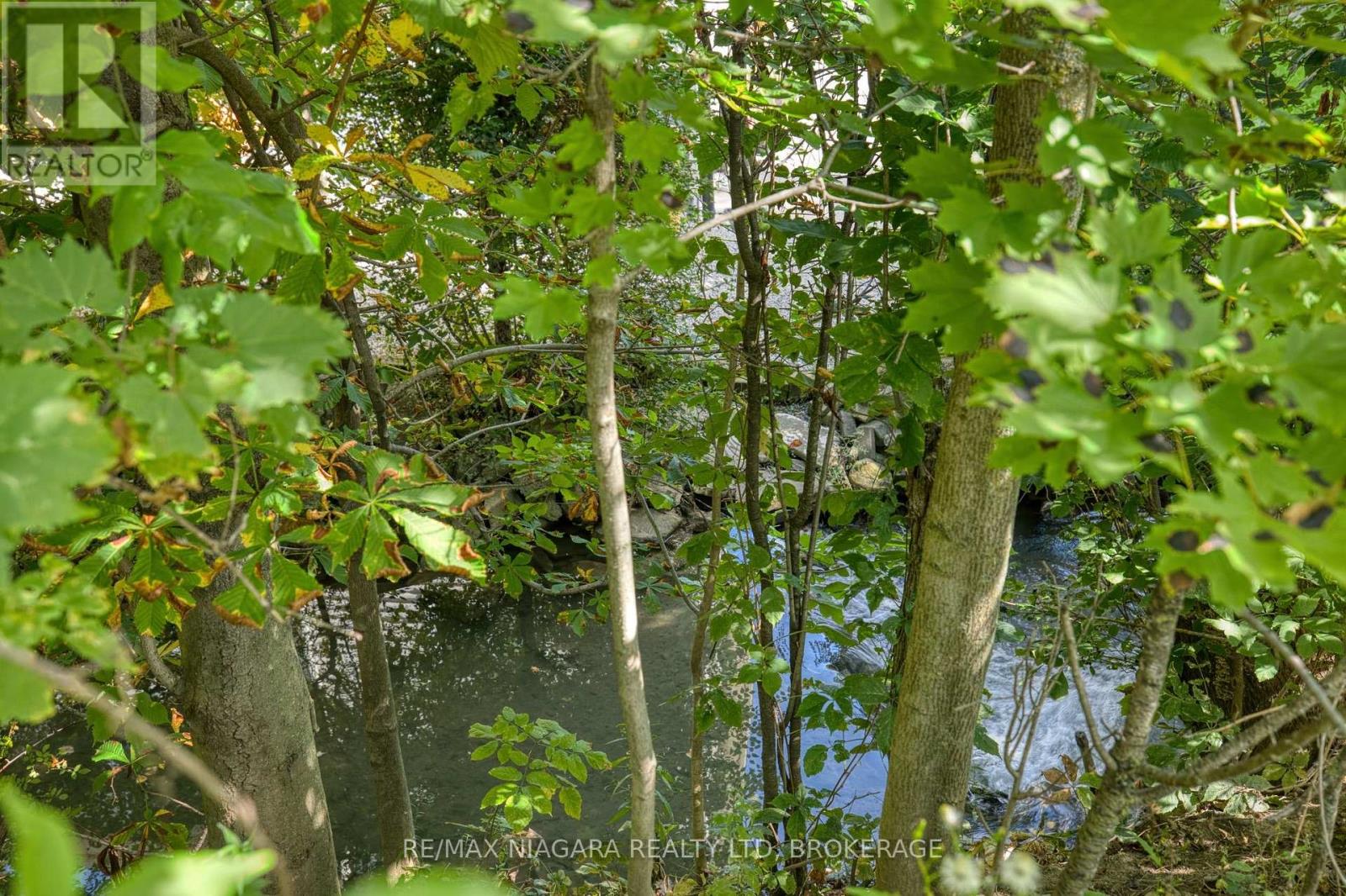 4166 Chippawa Parkway Property Photo 4
