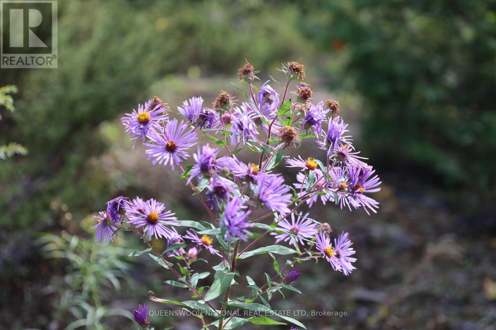 1440 Rideau River Road Property Photo 12