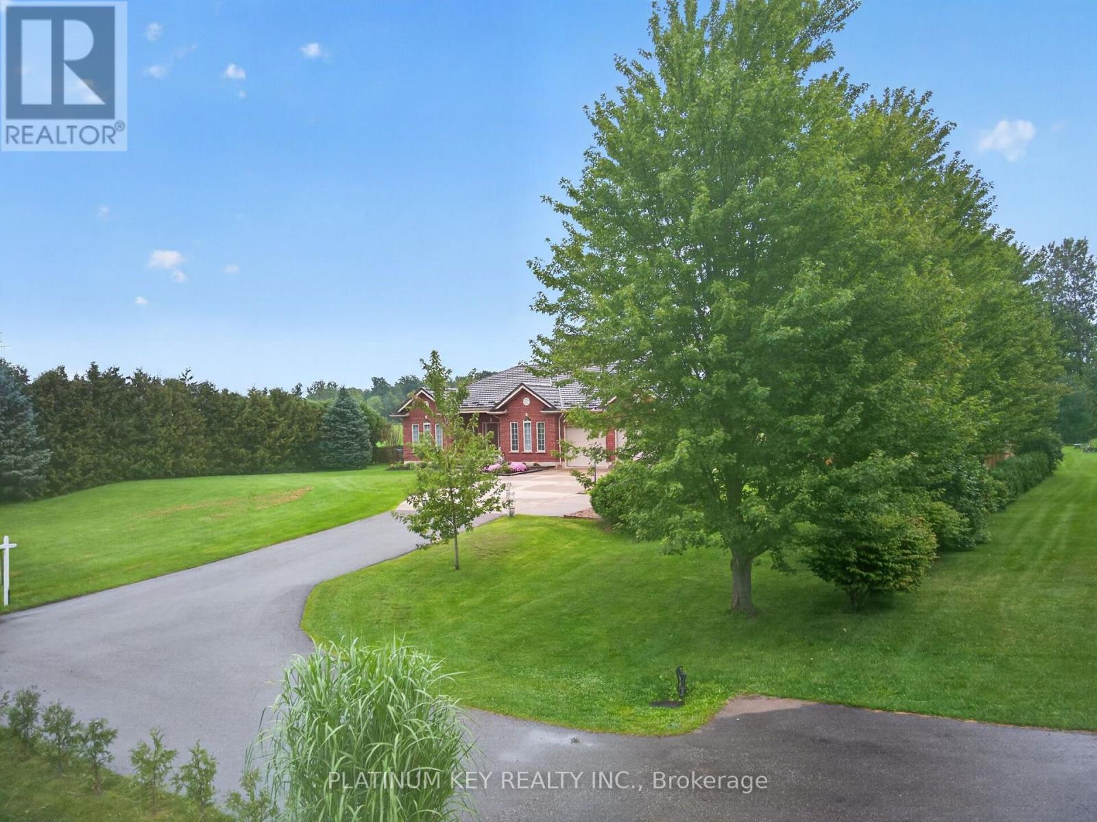 653 Peter Street Property Photo 47