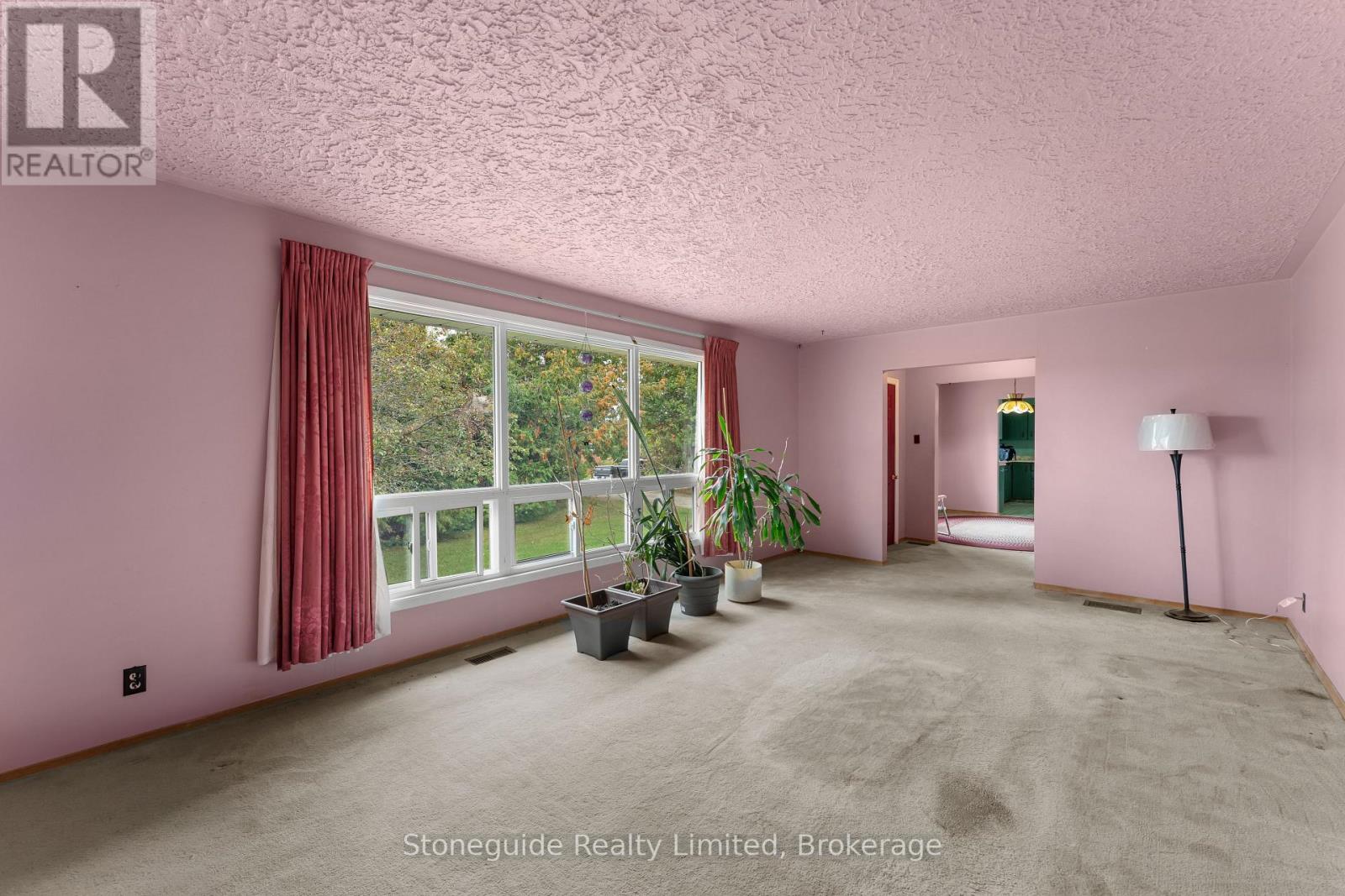 100 Moloney Line Property Photo 5