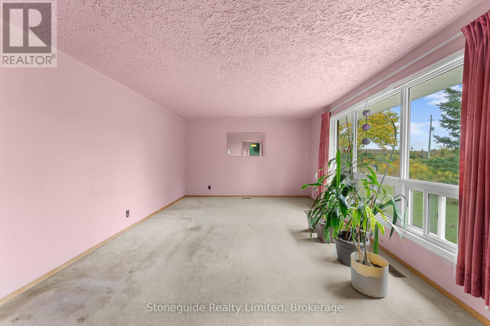100 Moloney Line Property Photo 6