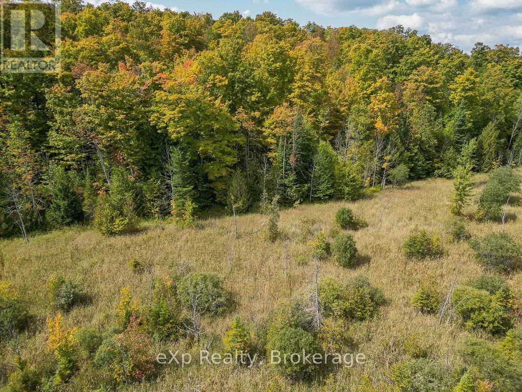 Pt Lt 15 Baseline Road Property Photo 9