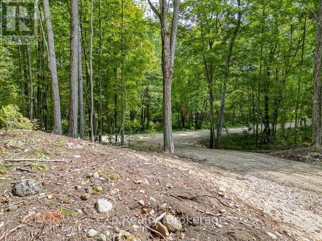 Pt Lt 15 Baseline Road Property Photo 15