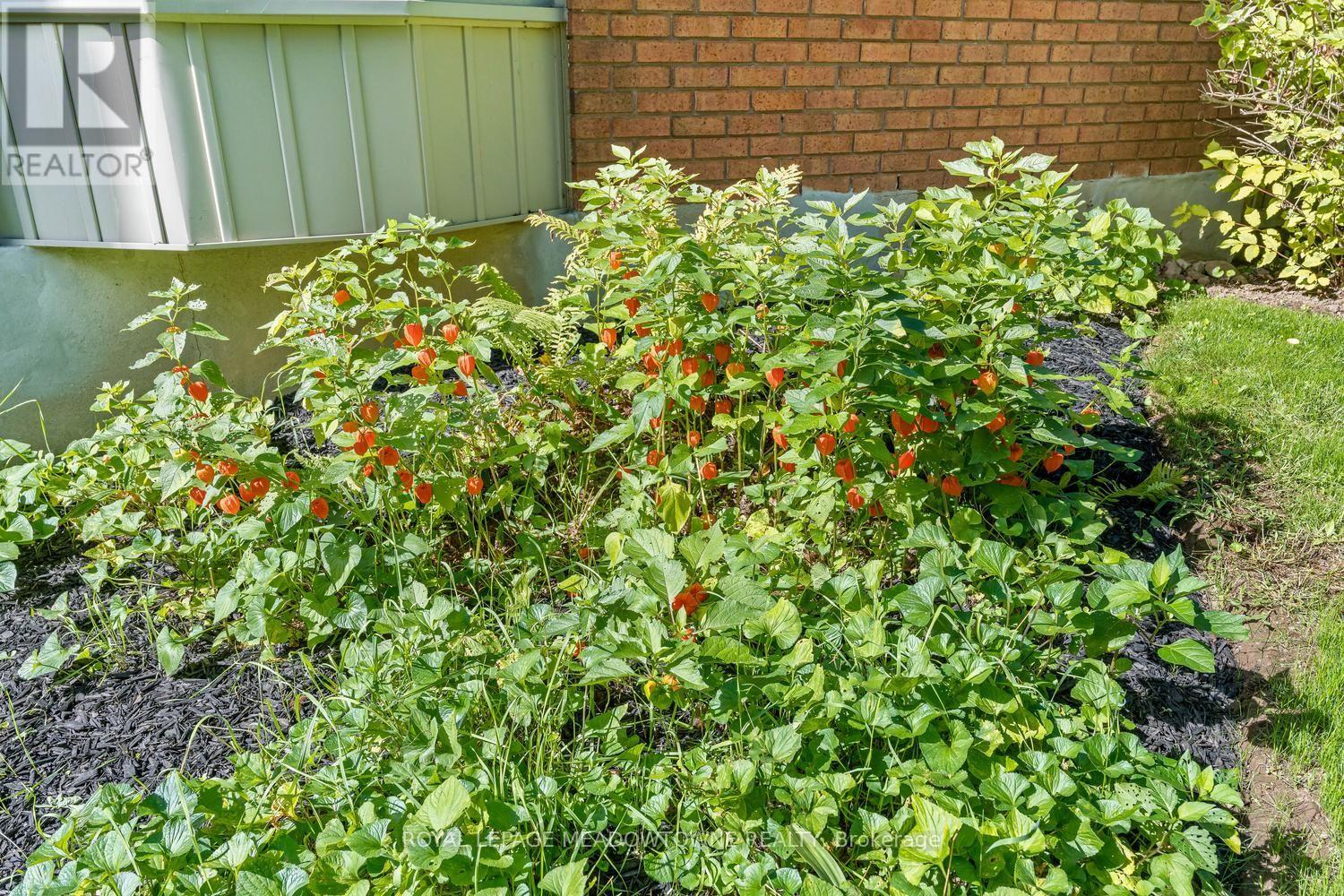 164 Henry Street Property Photo 45