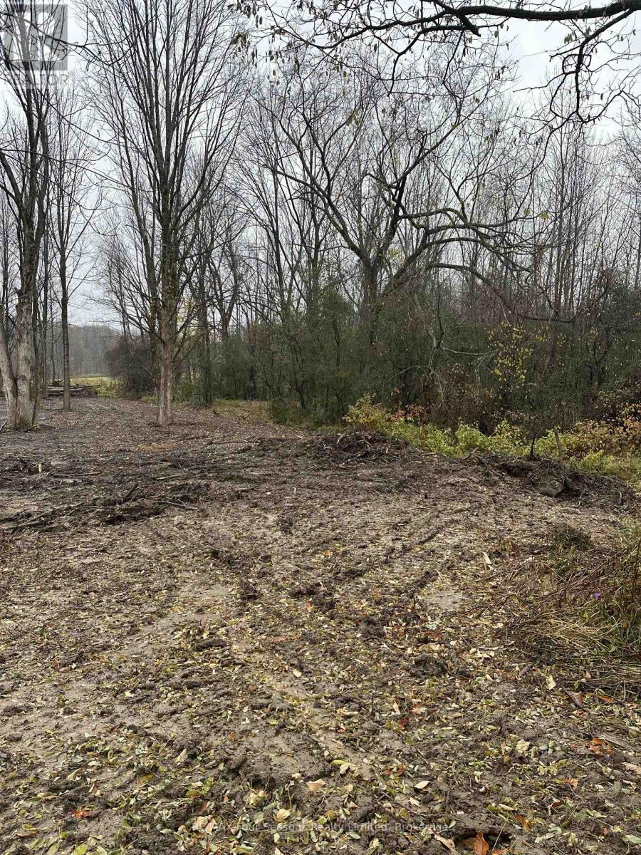 Lot 9 11 Concession S Property Photo 10