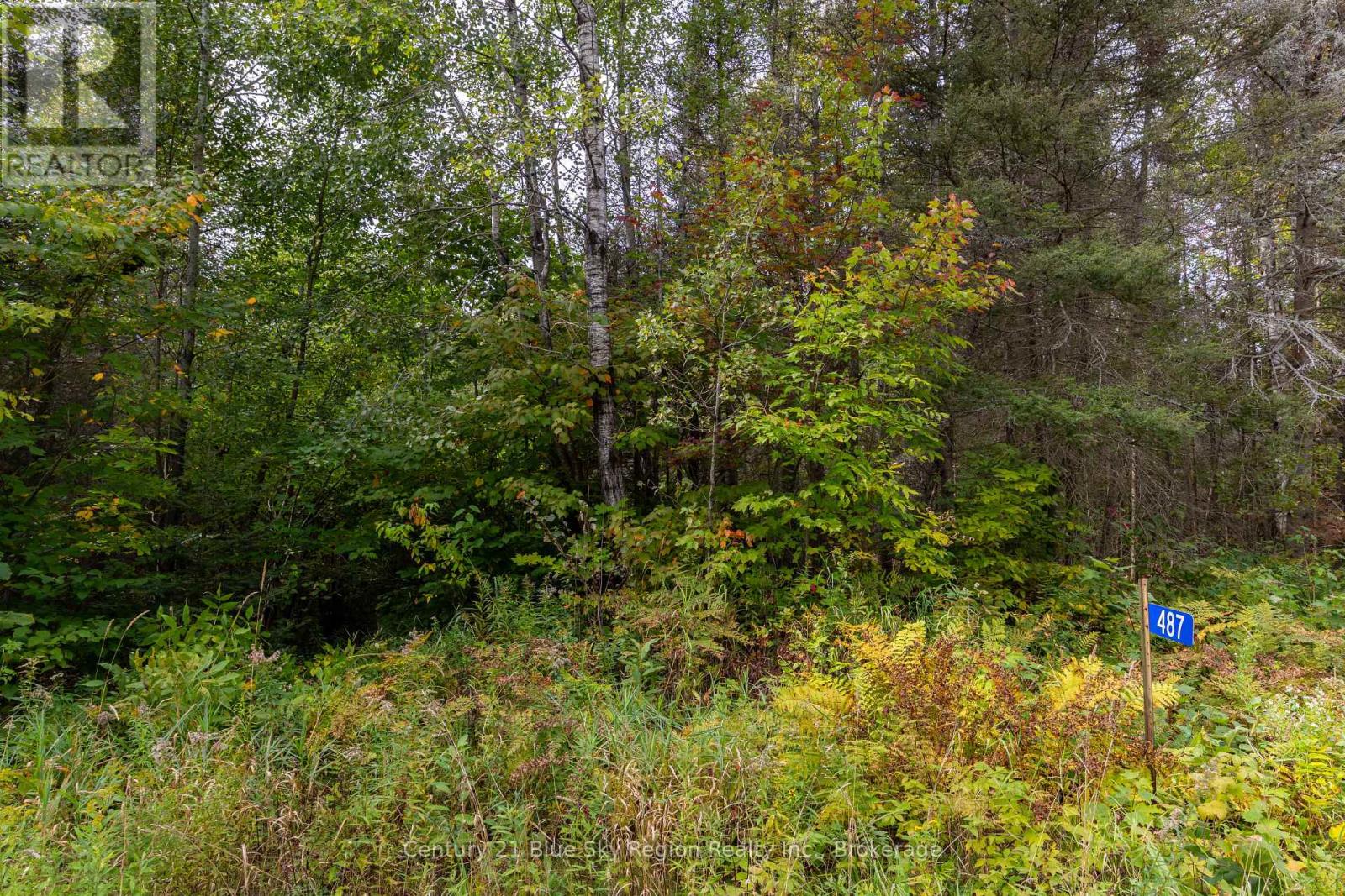 487 Golf Course Road Property Photo 9