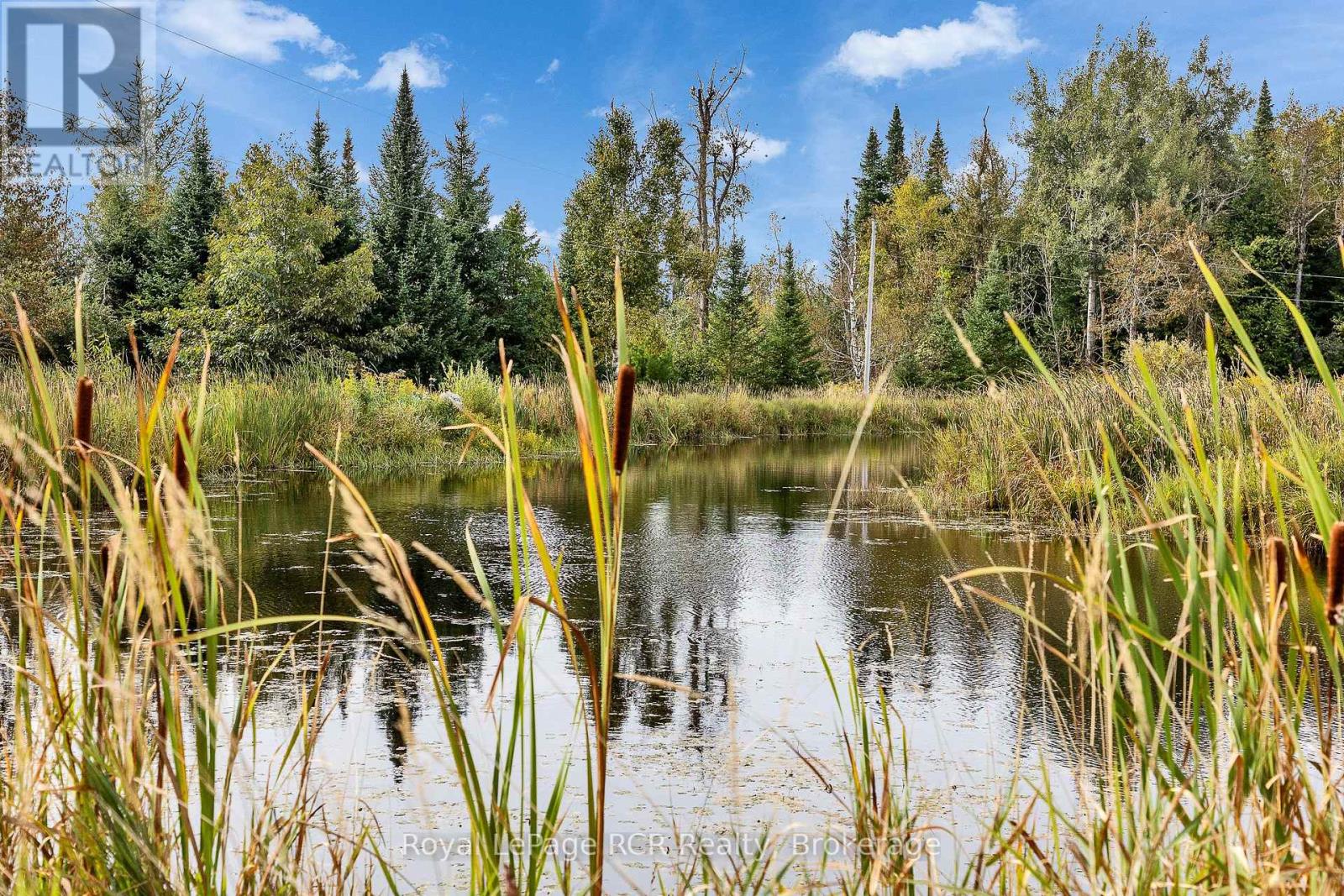 397061 5th Line Property Photo 44