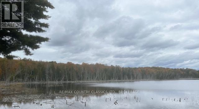 Bull Lake Road Property Photo 1