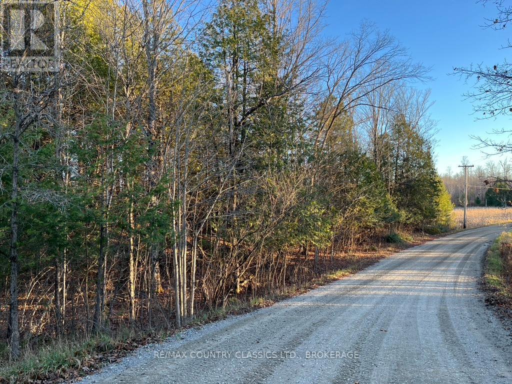 Bull Lake Road Property Photo 6