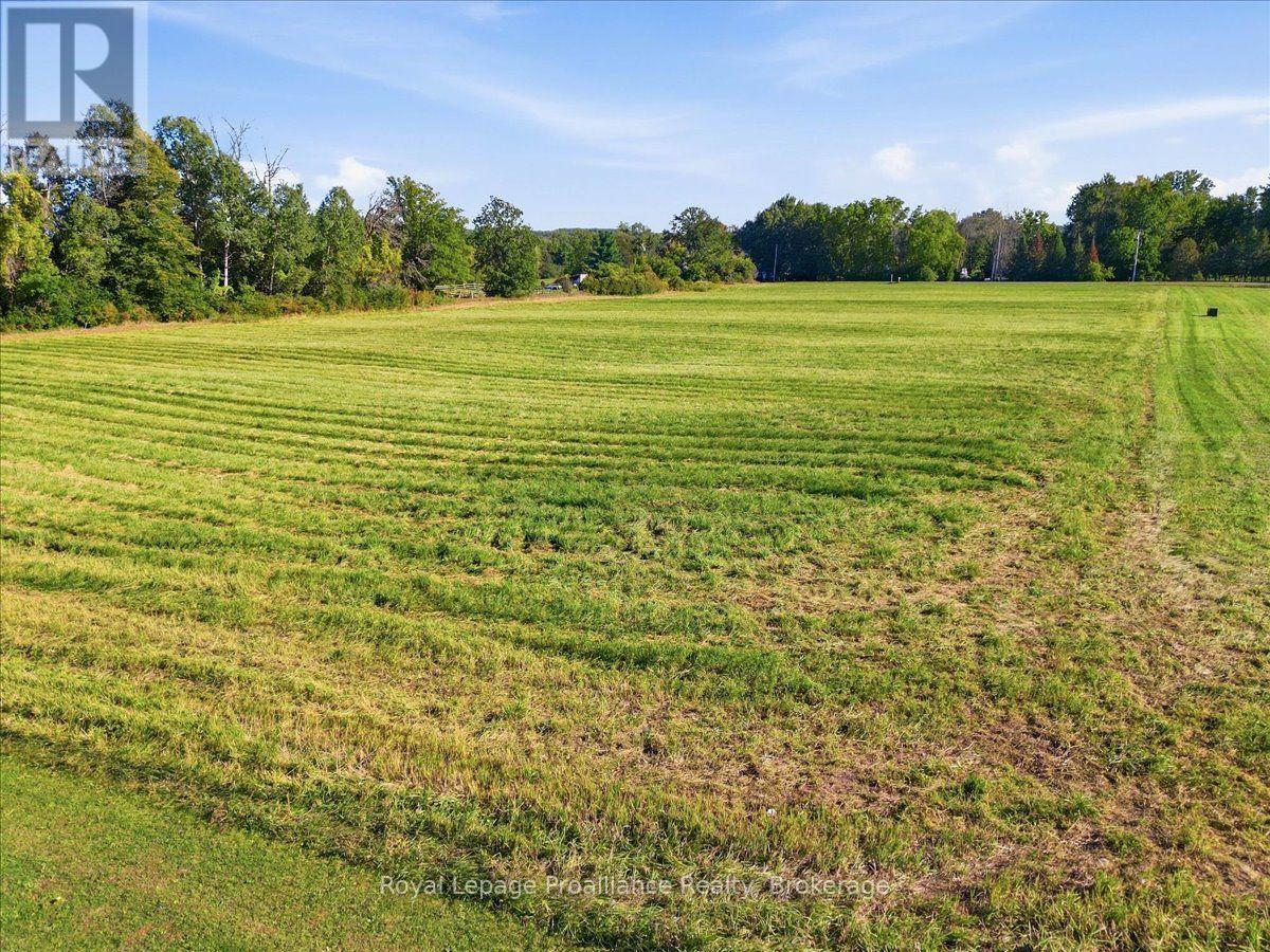 0 Rosebush Road Property Photo 8