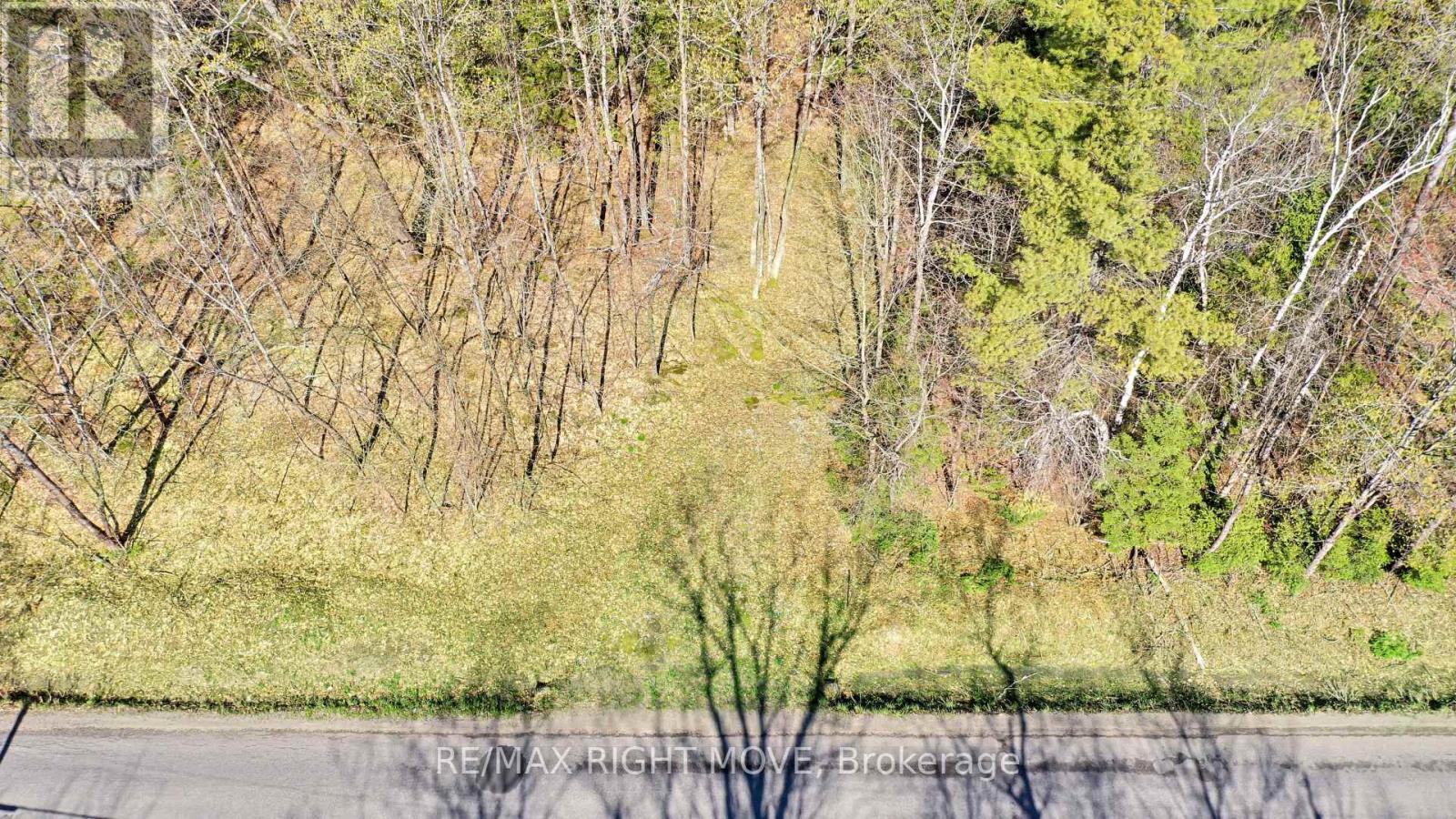 2731 Southwood Road Property Photo 4