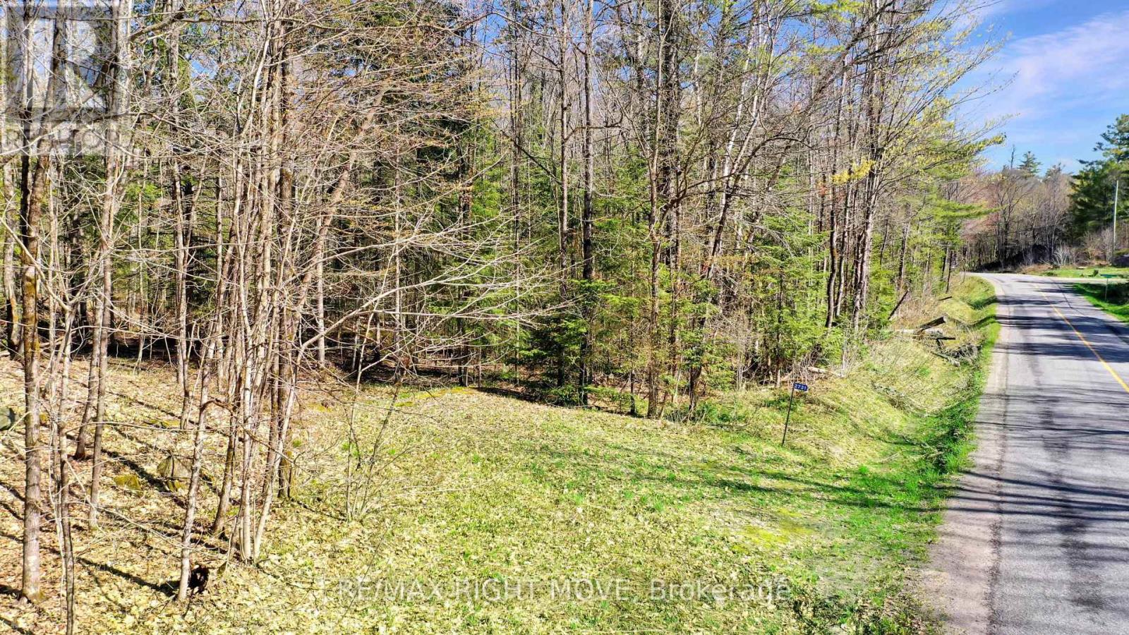 2731 Southwood Road Property Photo 7