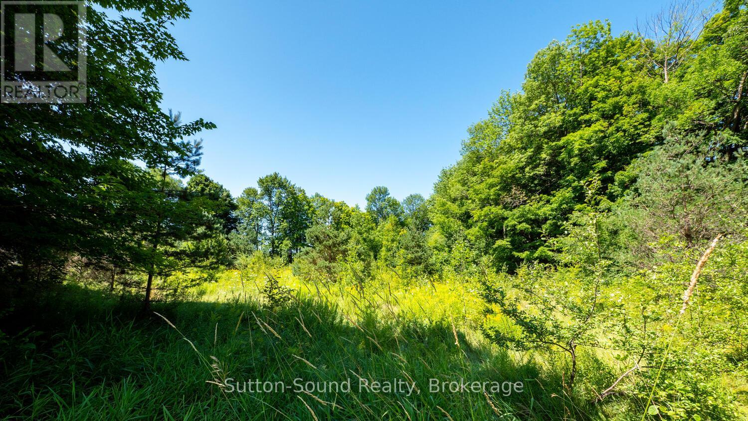 31 Everett Road Property Photo 5