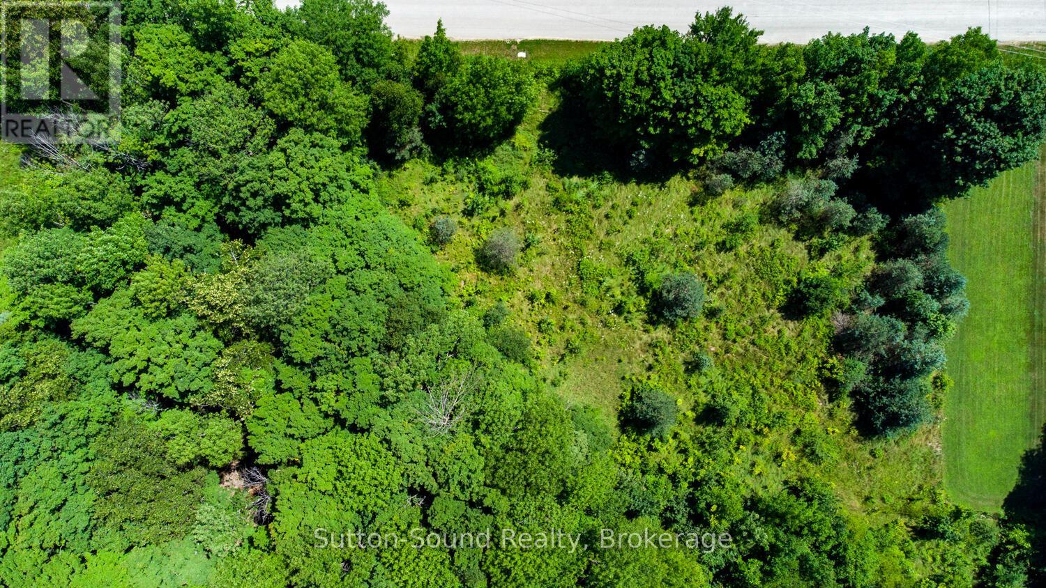 31 Everett Road Property Photo 41