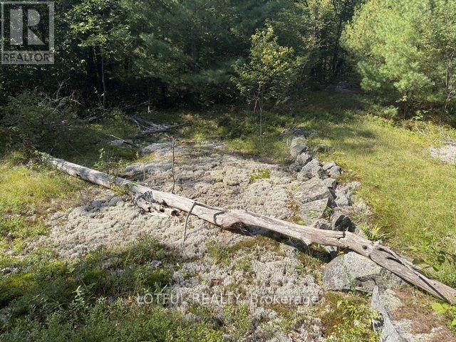 101 Maberly Station Road Property Photo 30