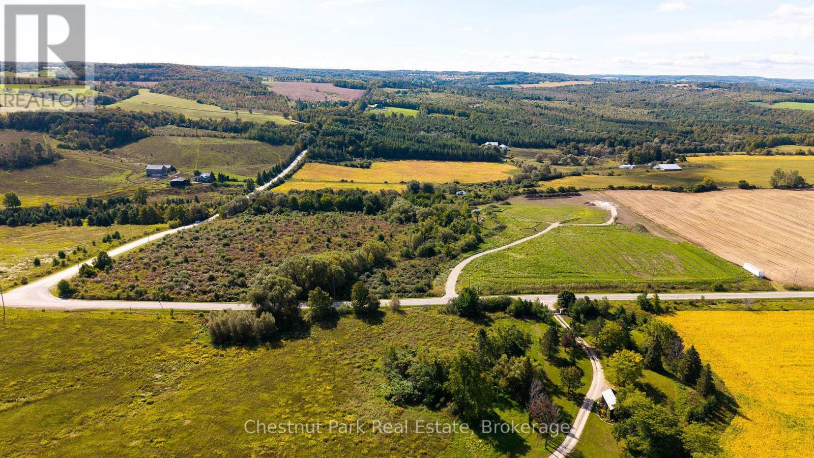 728534 21st Side Road Property Photo 13