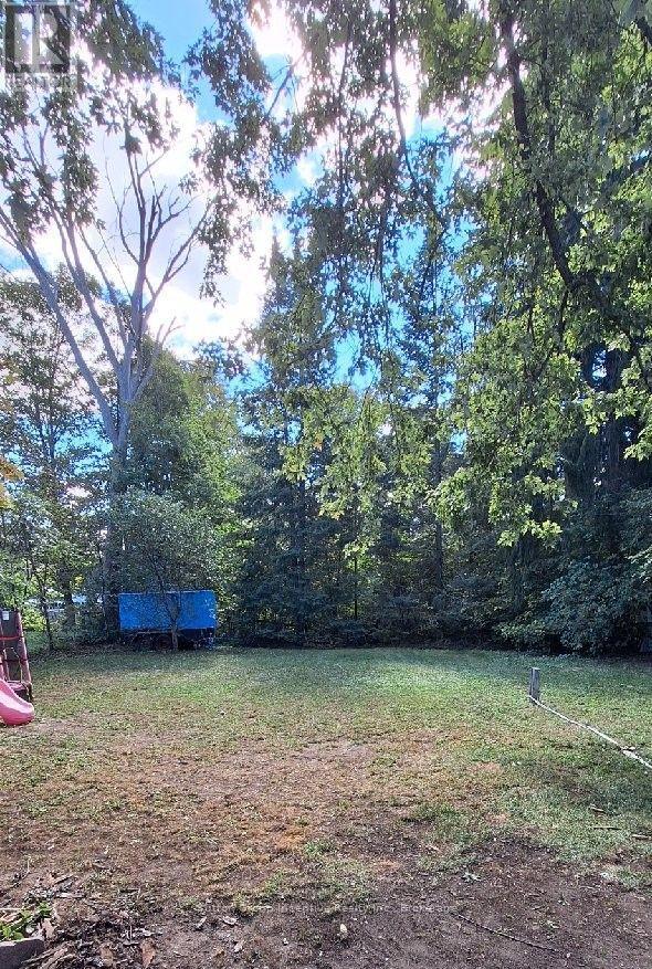 151 David Street Property Photo 21