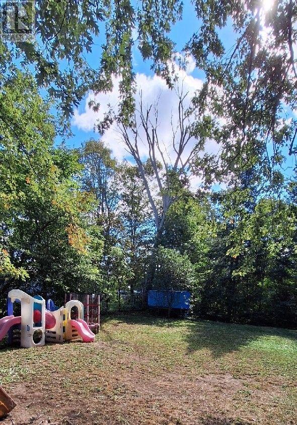 151 David Street Property Photo 22