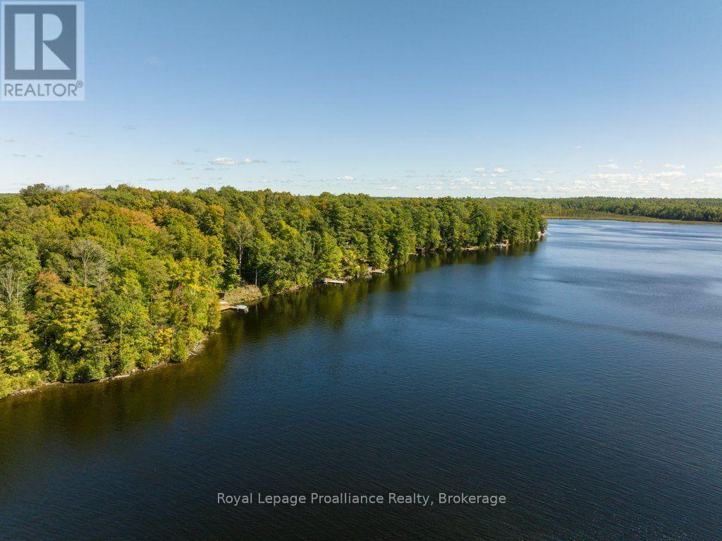 1231 Chimney Point Lane Property Photo 46