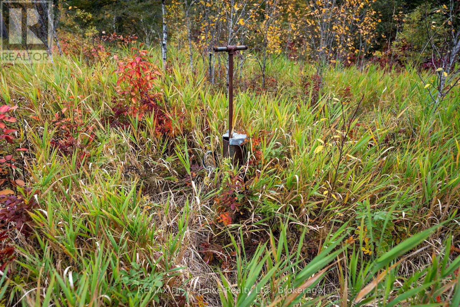 470 Auto Road Property Photo 25