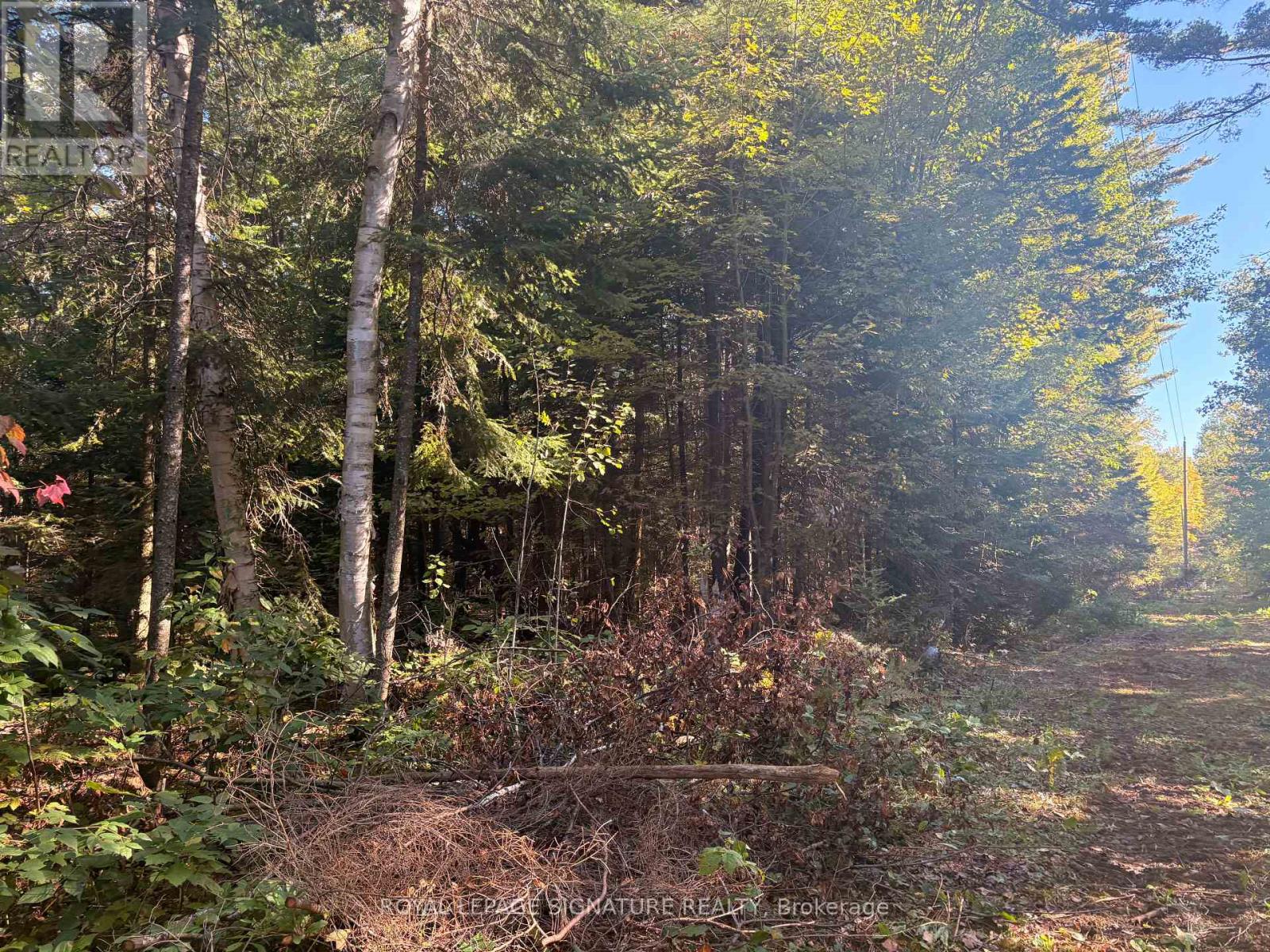 63 Bunny Trail Property Photo 1