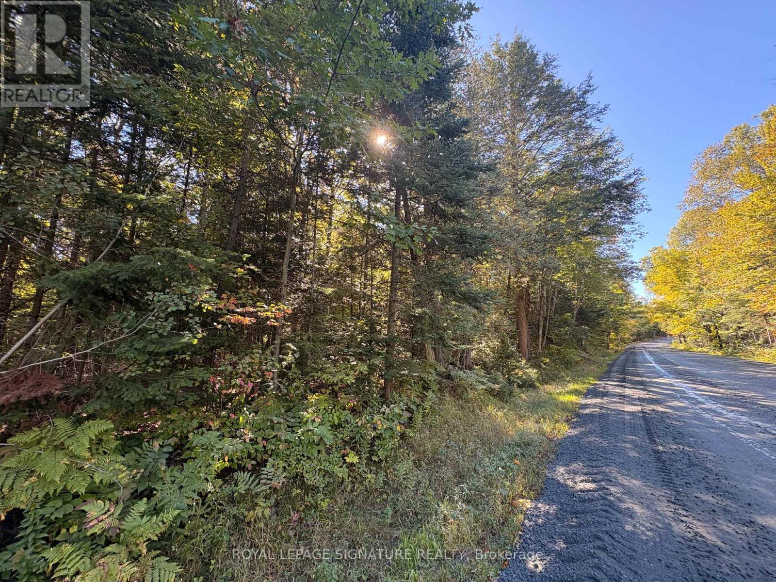 63 Bunny Trail Property Photo 4
