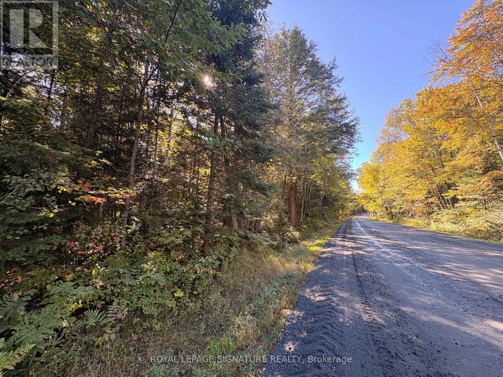 63 Bunny Trail Property Photo 5