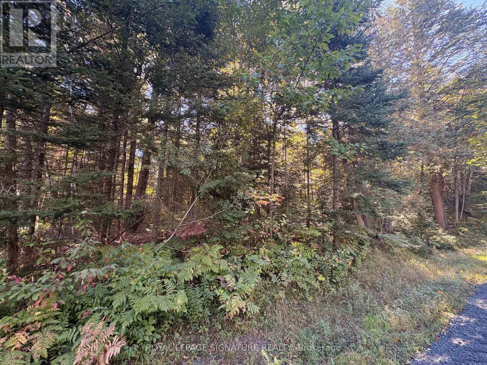 63 Bunny Trail Property Photo 6