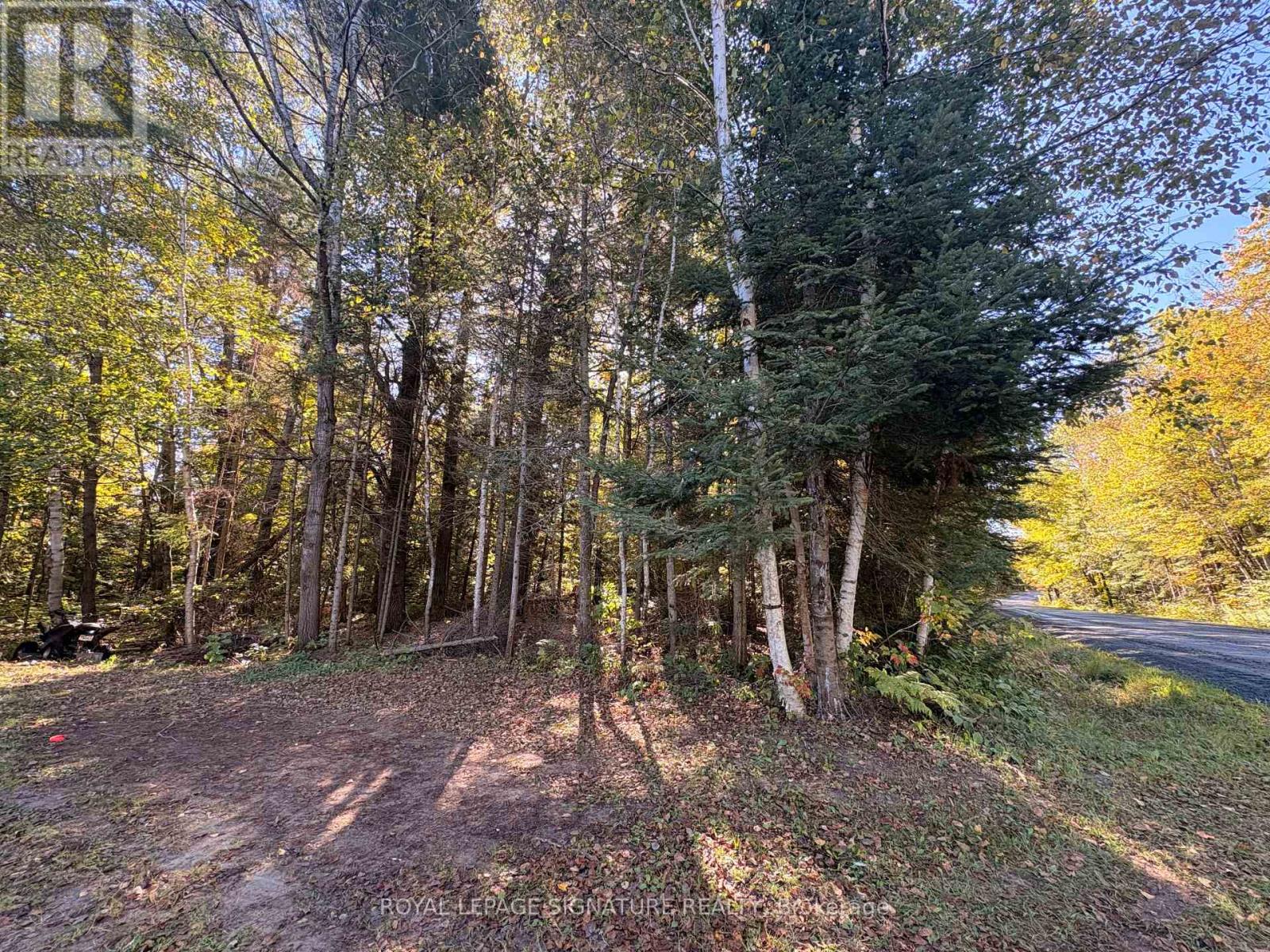 63 Bunny Trail Property Photo 7