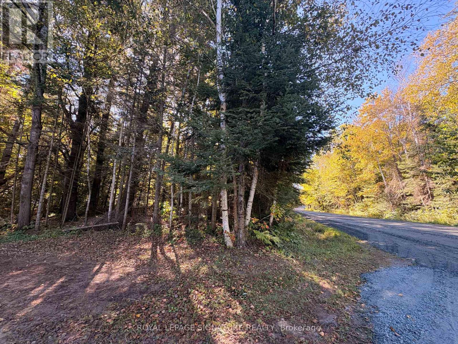 63 Bunny Trail Property Photo 8