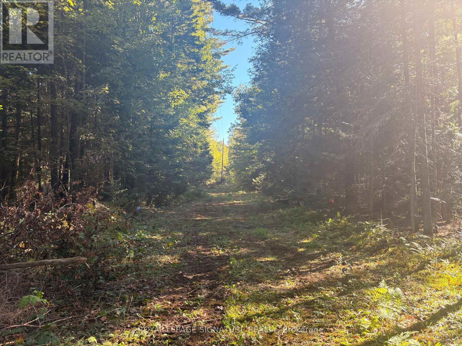 63 Bunny Trail Property Photo 9