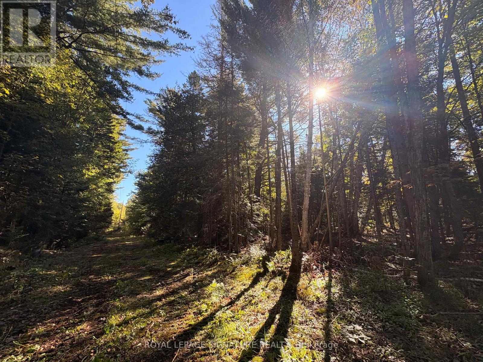63 Bunny Trail Property Photo 10
