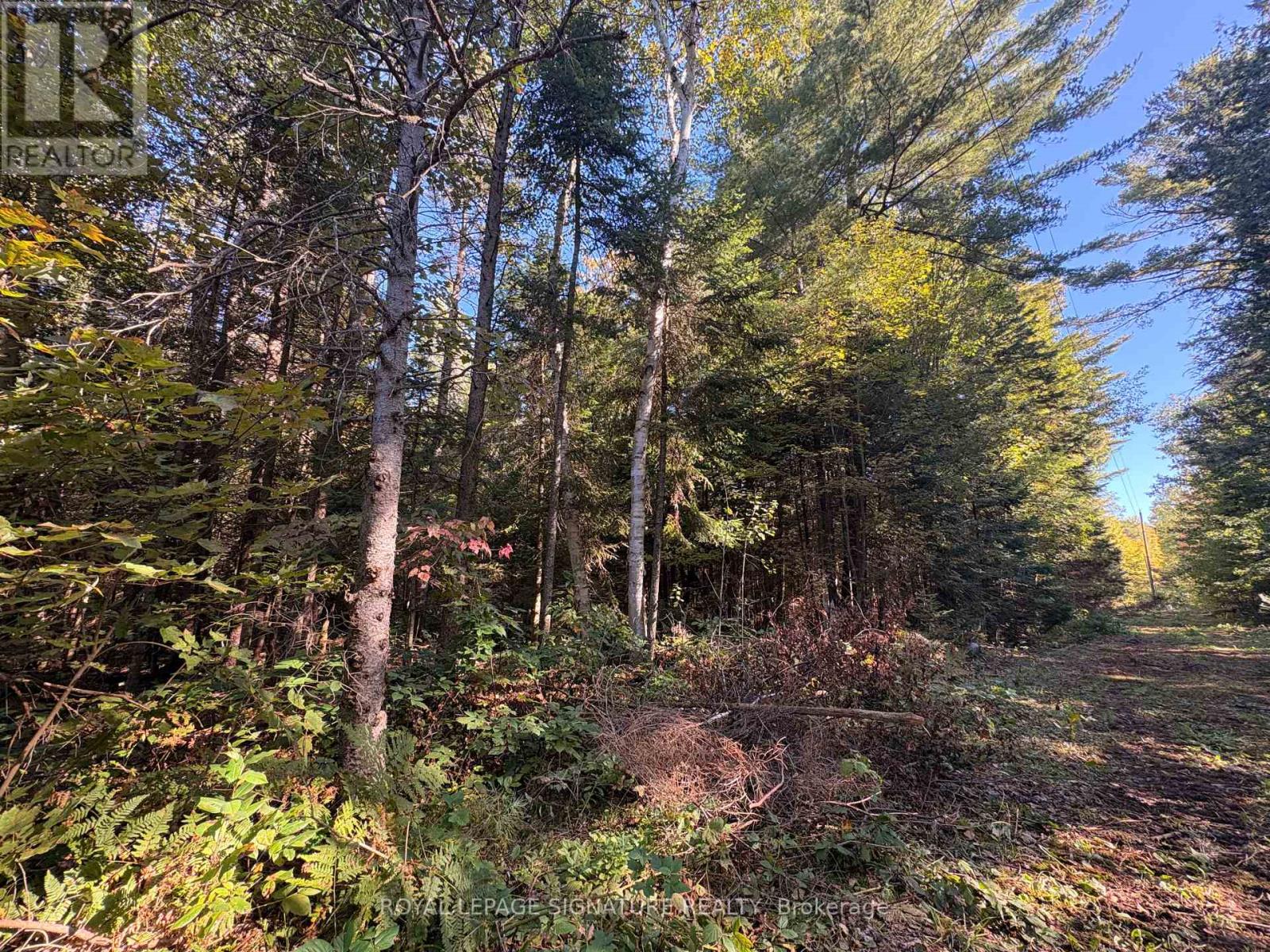 63 Bunny Trail Property Photo 11