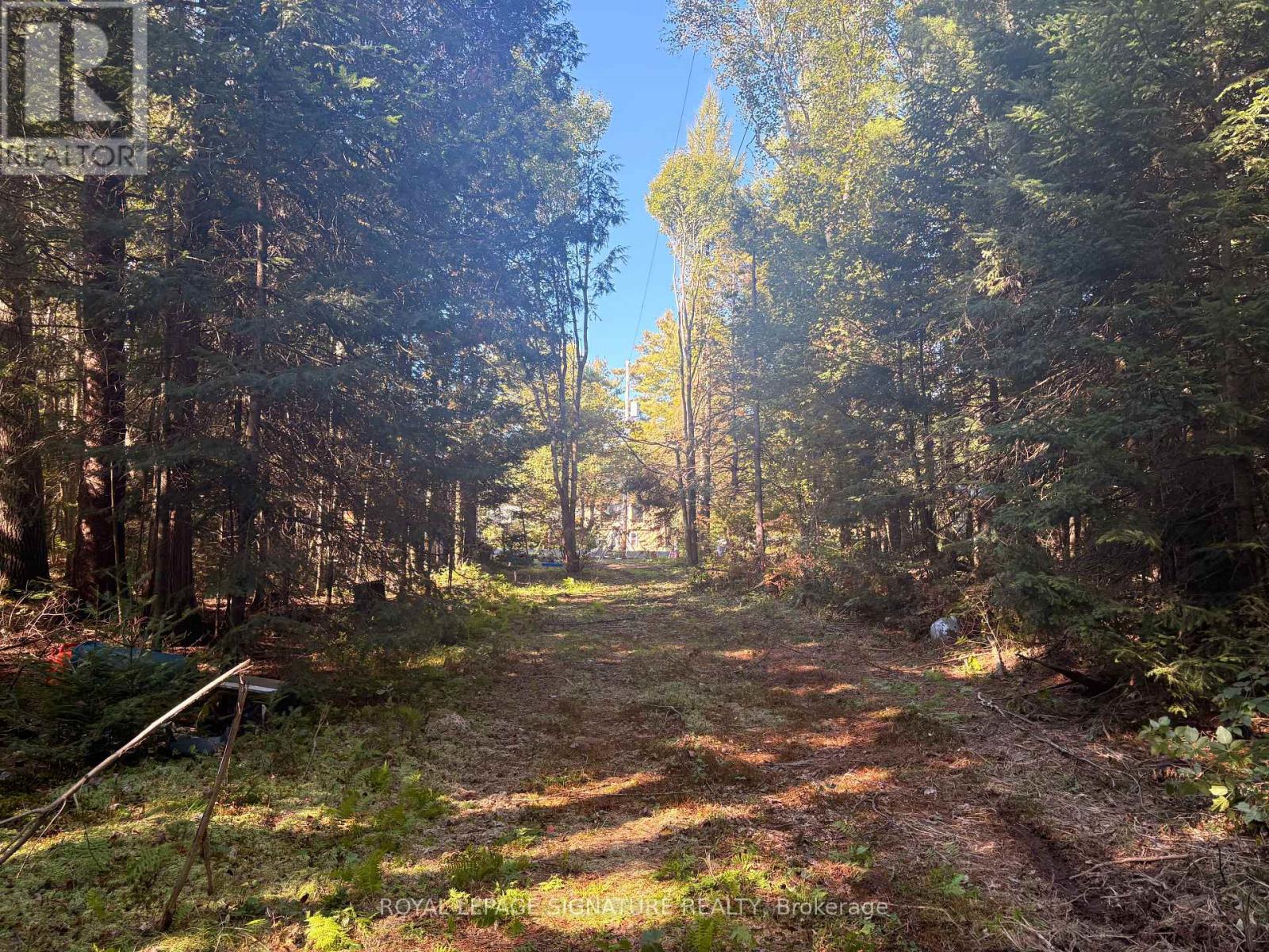 63 Bunny Trail Property Photo 12