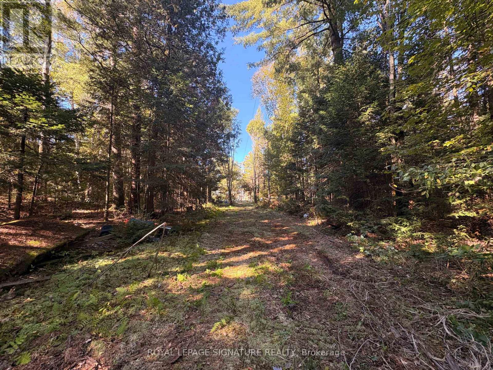 63 Bunny Trail Property Photo 13