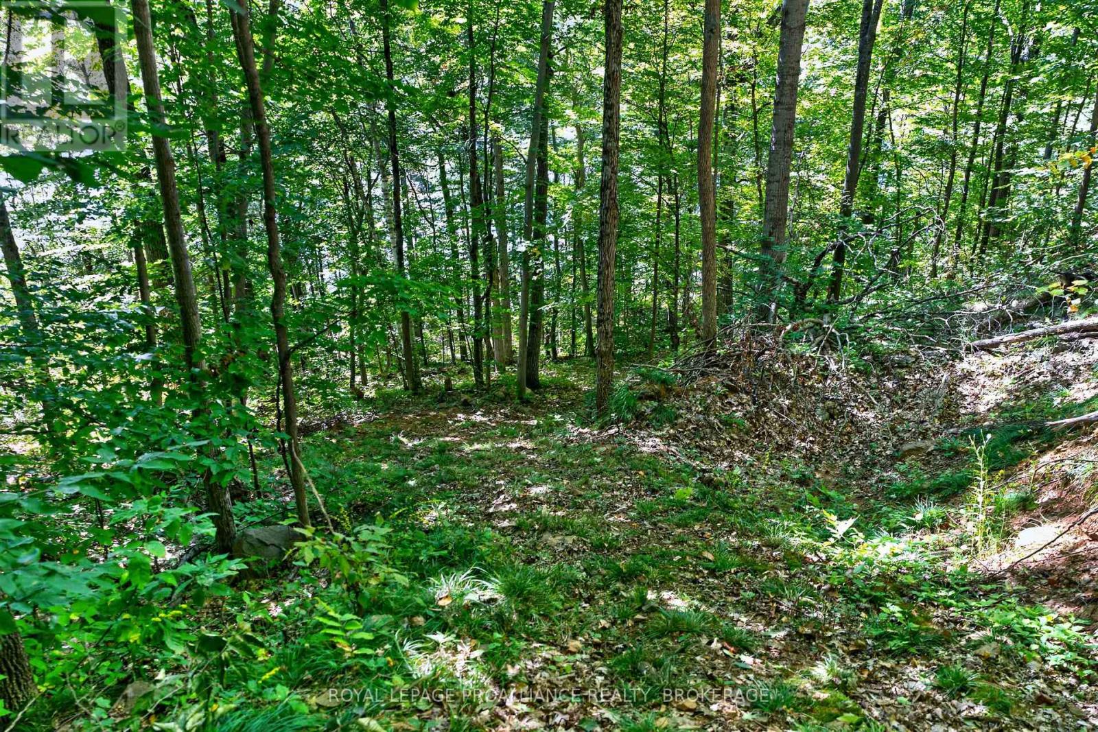 1057 Forest Lane Property Photo 4