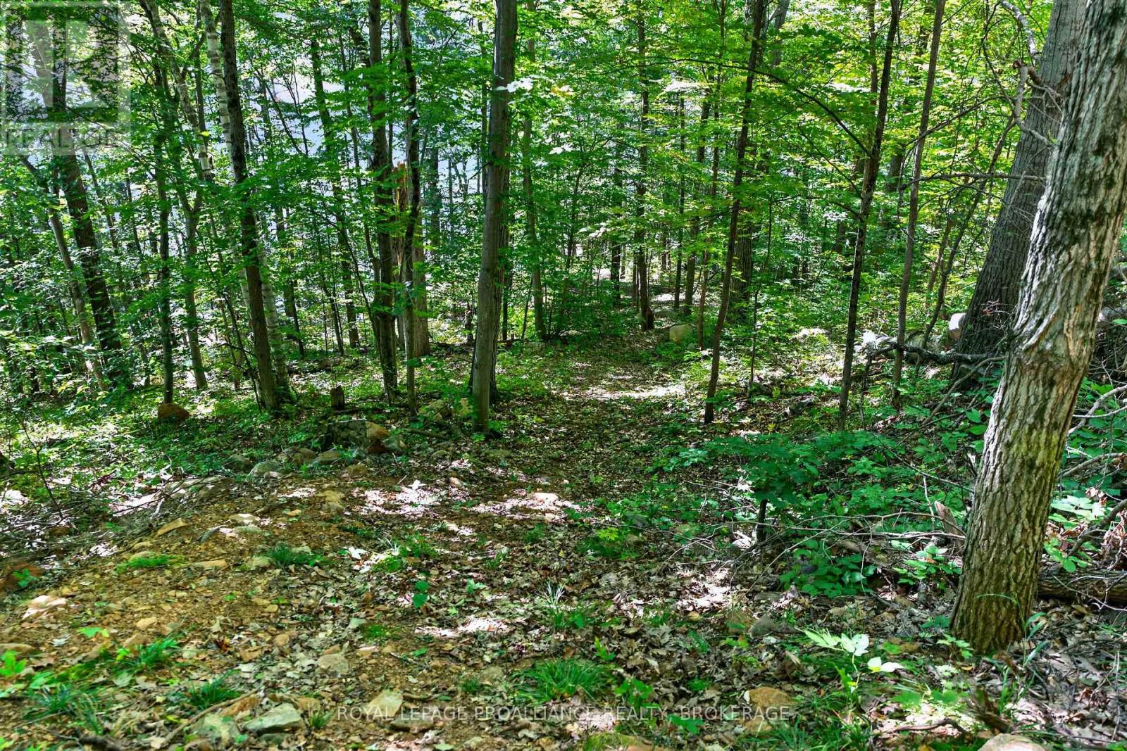 1057 Forest Lane Property Photo 5