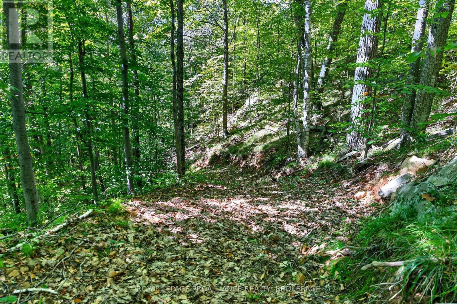 1057 Forest Lane Property Photo 8