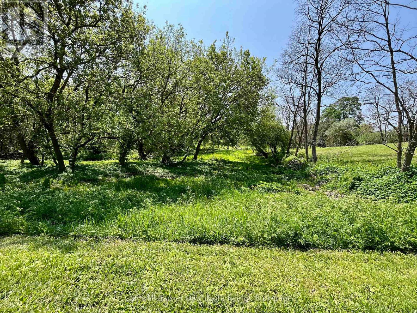 Lt 214 215 Albert Street Property Photo 3