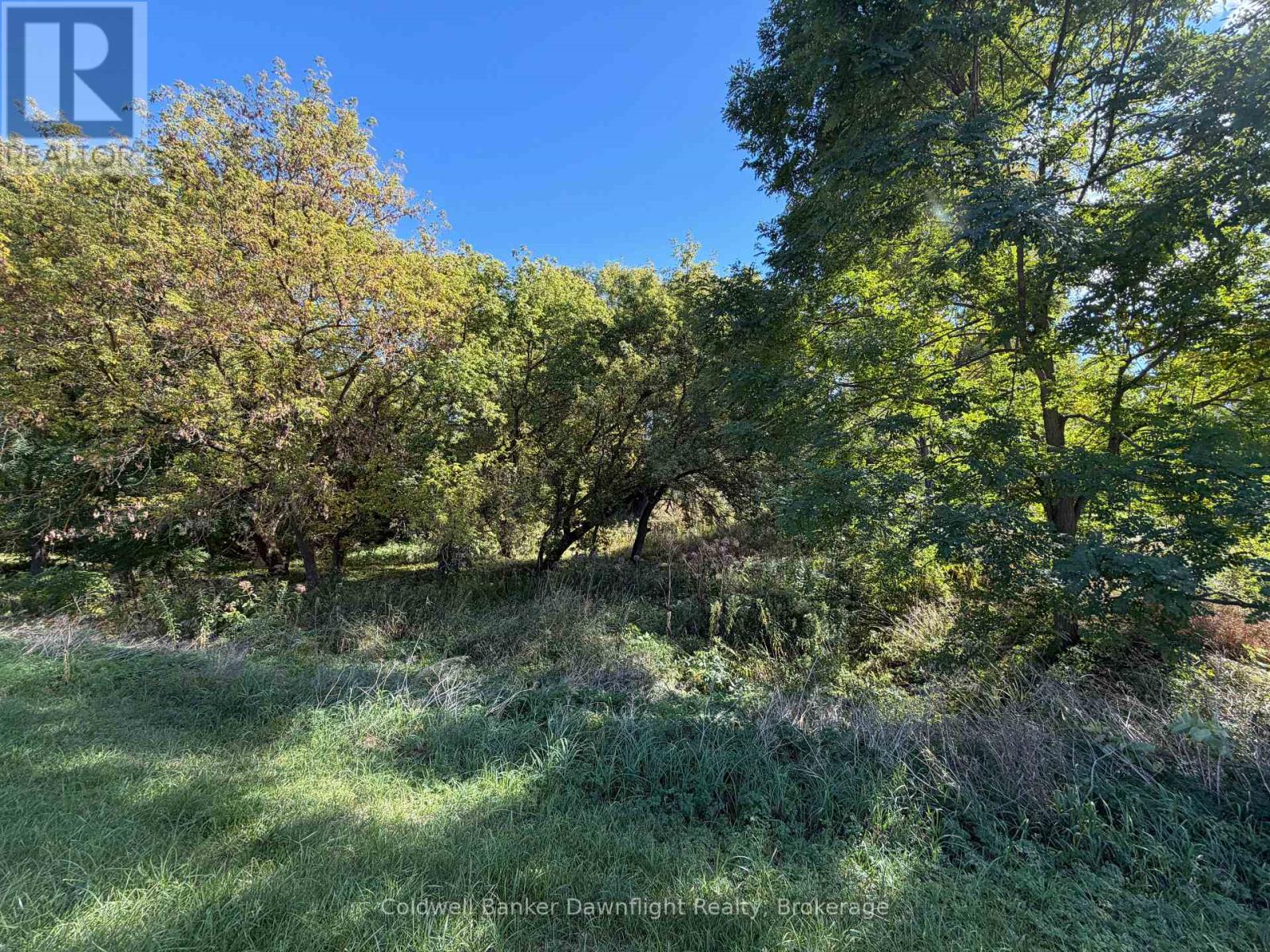 Lt 214 215 Albert Street Property Photo 7