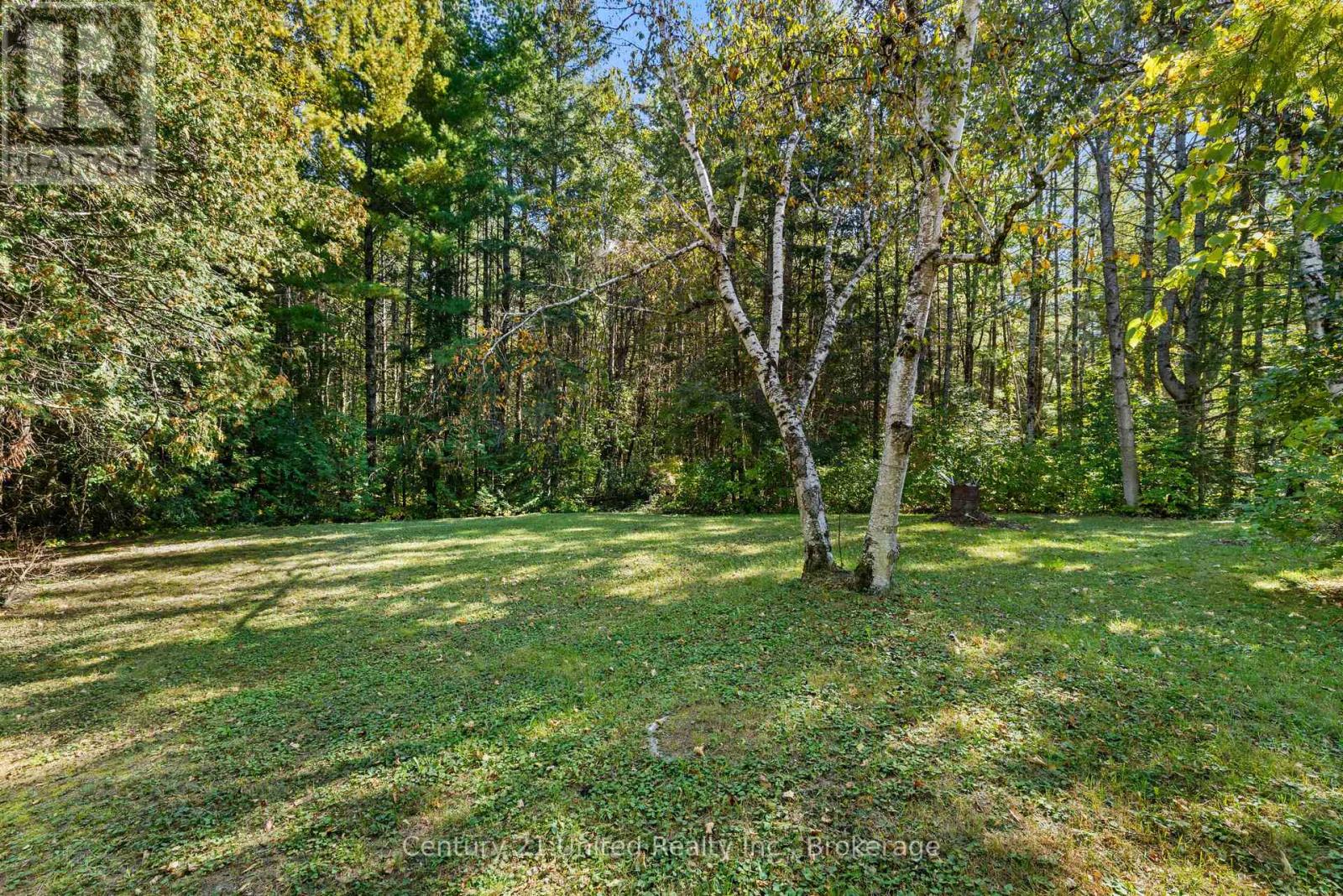 3795 Highway 28 Property Photo 27