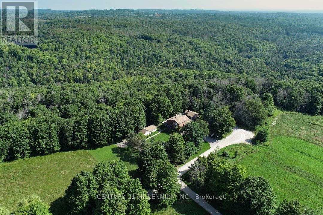 287199 10 Sideroad Property Photo 4