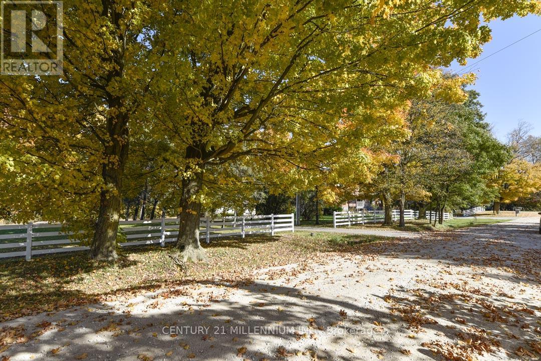 287199 10 Sideroad Property Photo 5