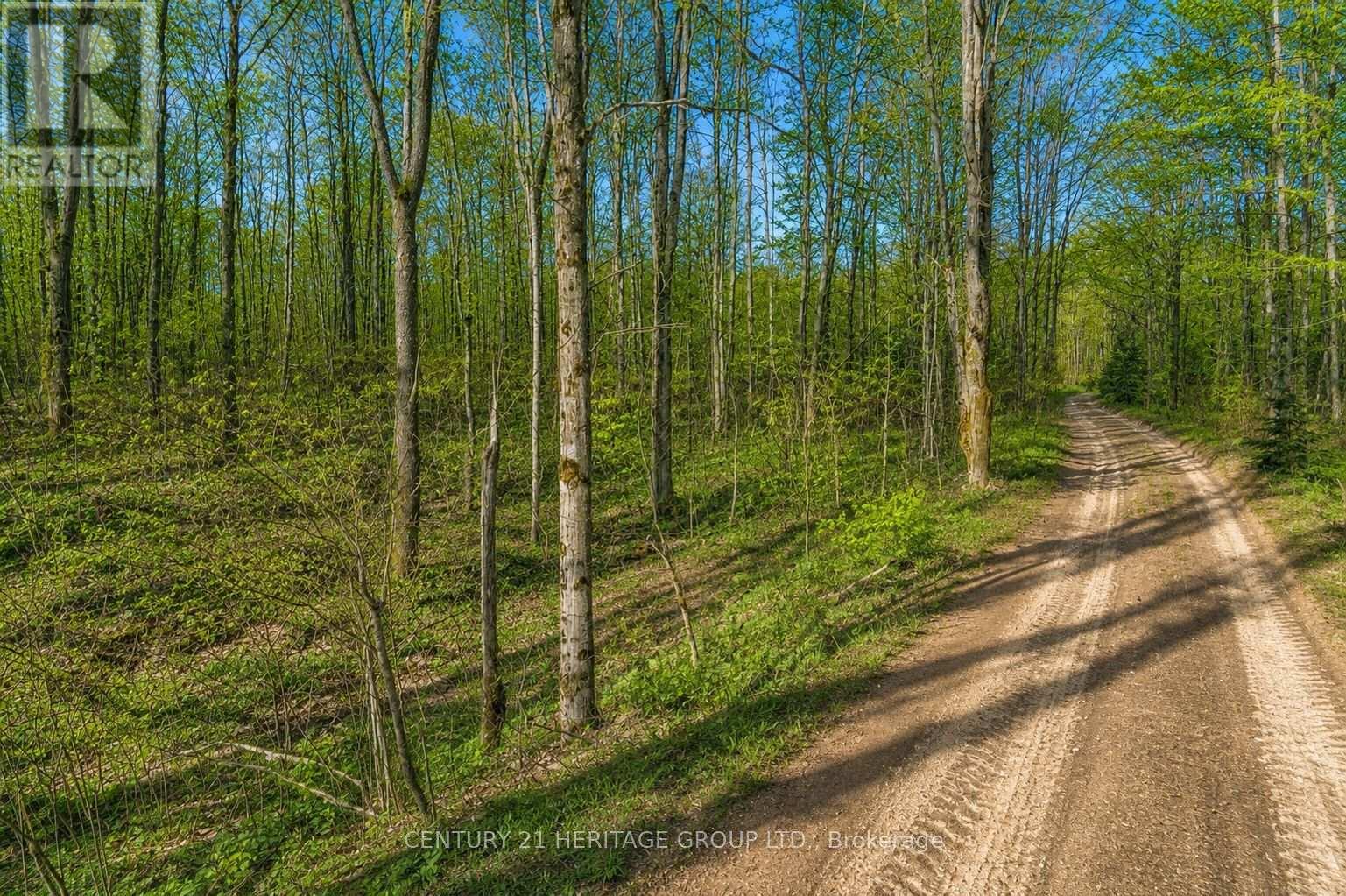 580223 Sideroad 60 Property Photo 15