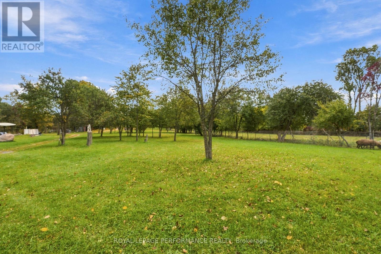 4126 34 Highway Property Photo 30