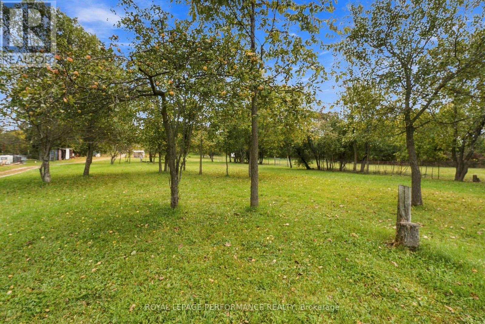 4126 34 Highway Property Photo 31